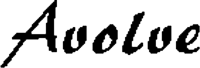 Avolve.png