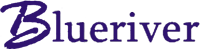 Blueriver Networking Services.png