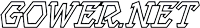 Gower Net.png