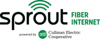 Sprout Fiber Internet.png