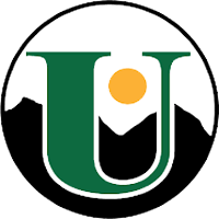 Union Wireless.png